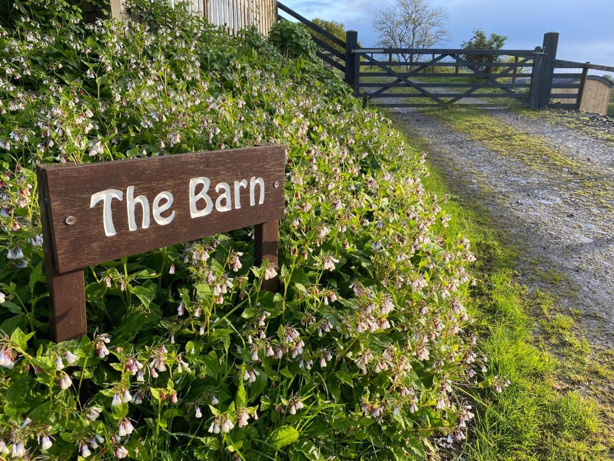 Oakies Farm Stays Llandovery Dış mekan fotoğraf