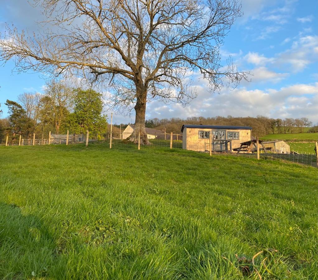Oakies Farm Stays Llandovery Dış mekan fotoğraf